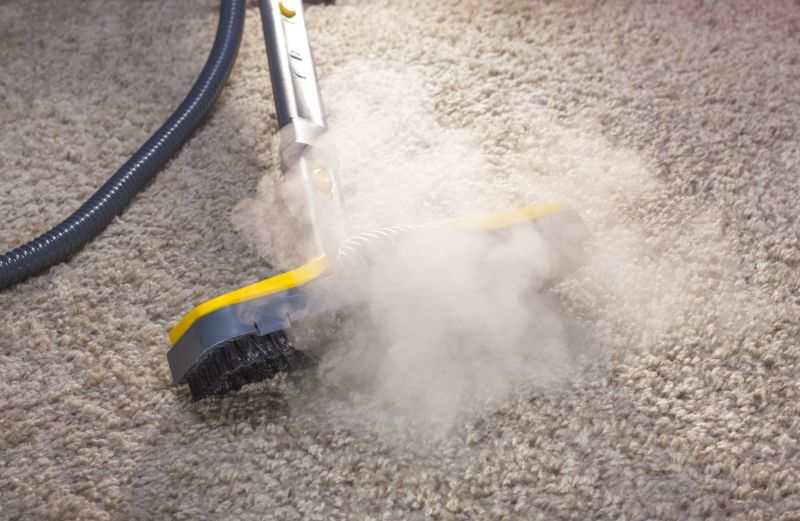 Increase Your Carpet Service Business with an AI Driven, Targeted Website