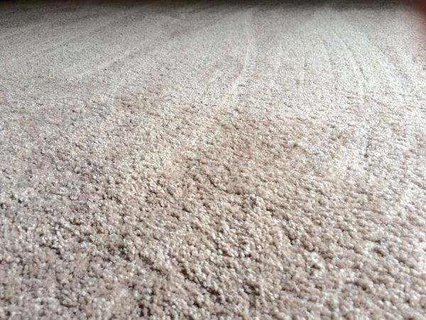 Plush Carpet Installation in Oshkosh